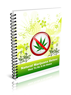 natural-marijuana-detox-cover-250