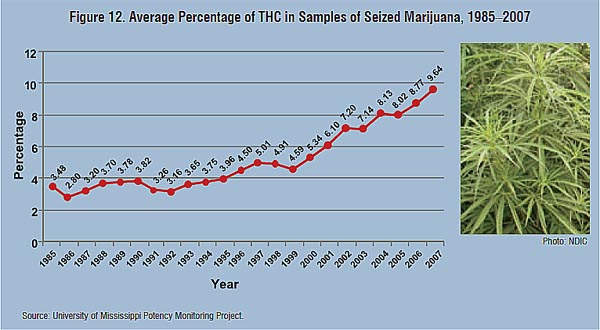 thc-stats1
