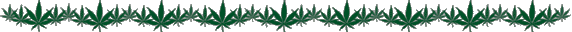 Quit Weed | How To Quit Marijuana With Seb Grant